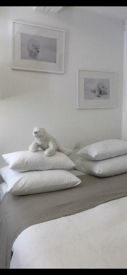 La Taniere De L'Ours Blanc Aubagne-Cassis-Aix En Provence公寓 外观 照片