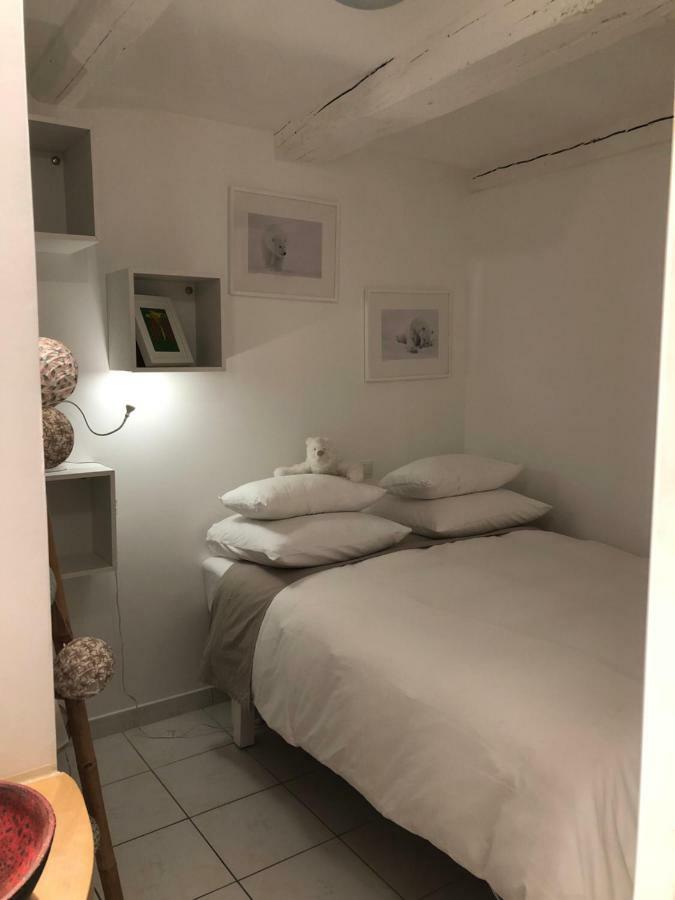 La Taniere De L'Ours Blanc Aubagne-Cassis-Aix En Provence公寓 外观 照片